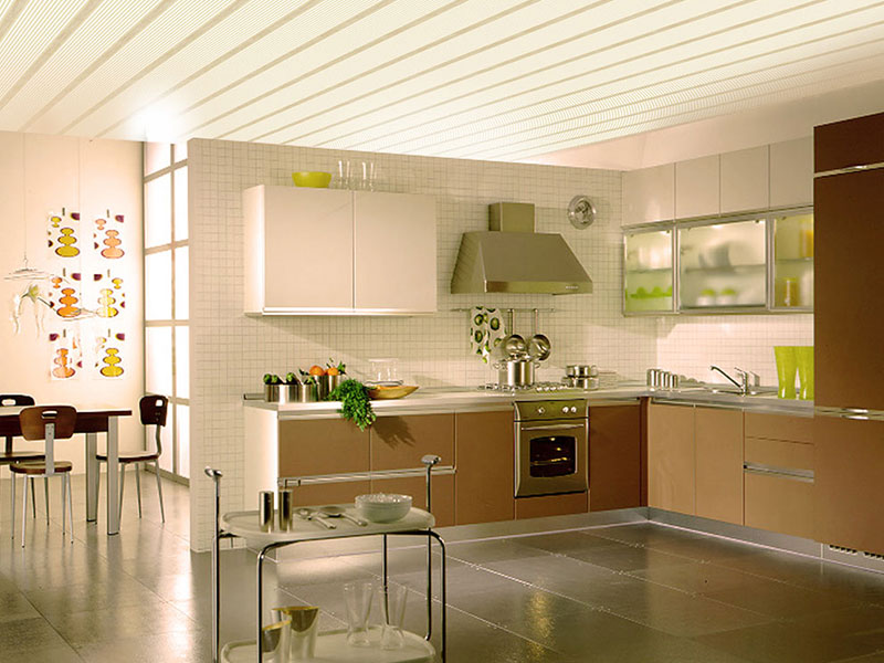 pvc-ceiling-3